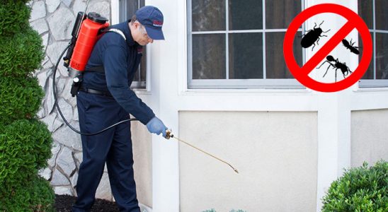 Sarayköy Kene İlaçlama böcek ilaçlama ve haşere kontrolü — ilaclama-tr.com
